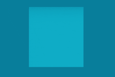 Global Lens Student Focus